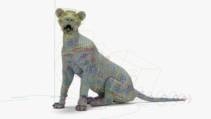 Lioness 3D Model Rigged Basemesh