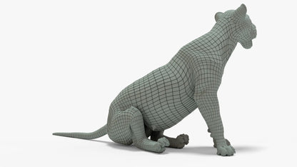 Lioness 3D Model Rigged Basemesh