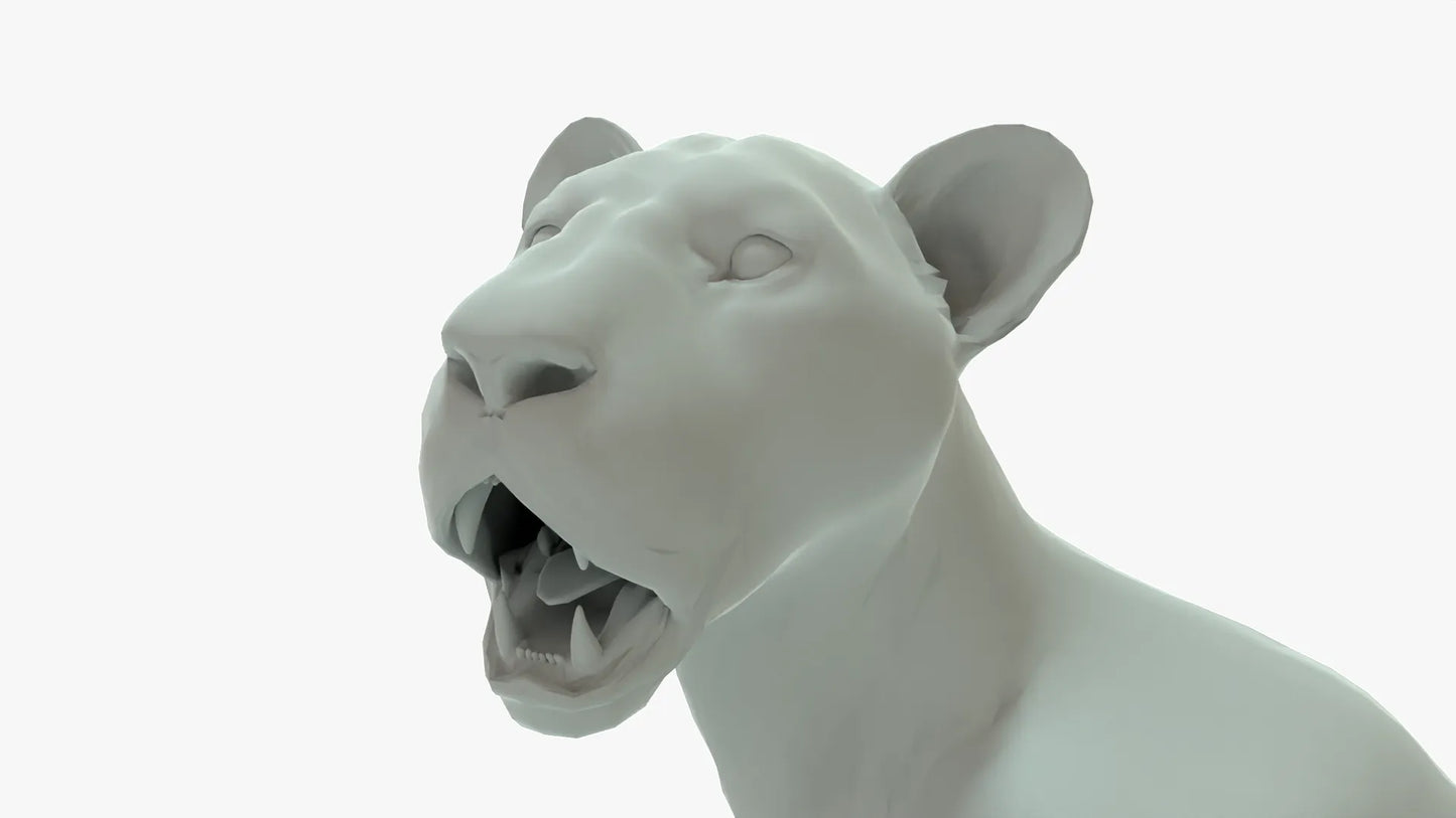 Lioness 3D Model Rigged Basemesh