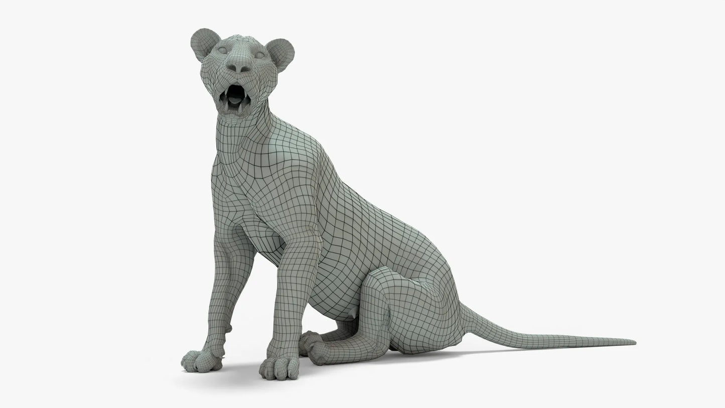 Lioness 3D Model Rigged Basemesh