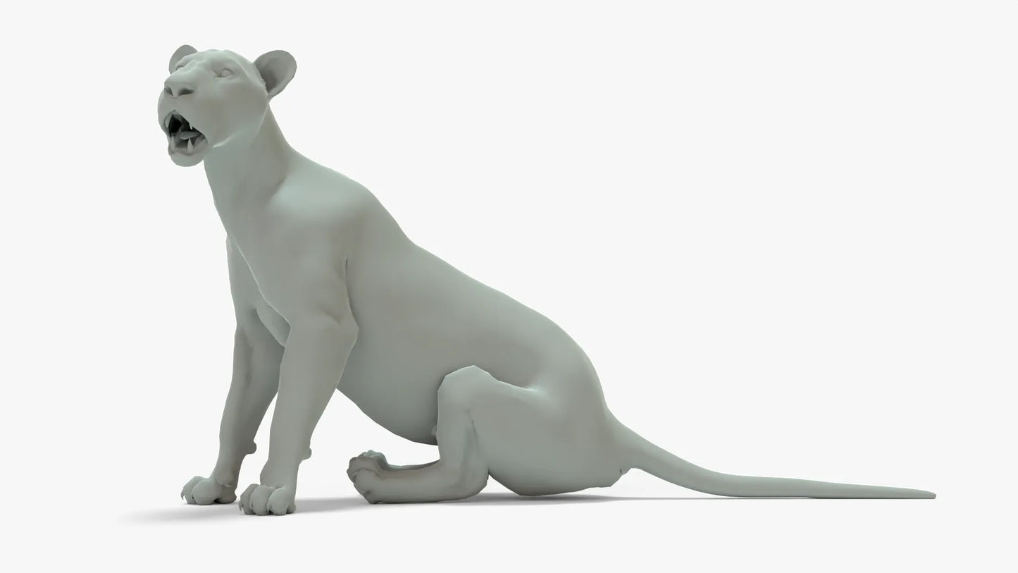 Couple Lion 3D Model Rigged Basemesh