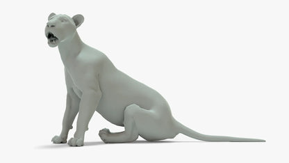 Lioness 3D Model Rigged Basemesh