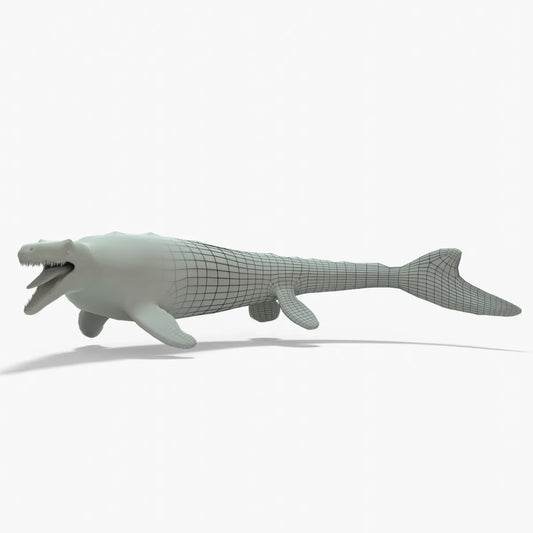 Mosasaurus Rigged Basemesh 3D Model