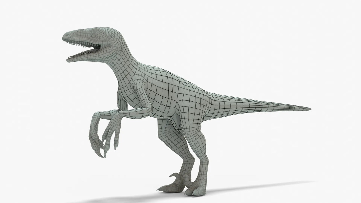 Pyroraptor 3D Model Rigged Basemesh