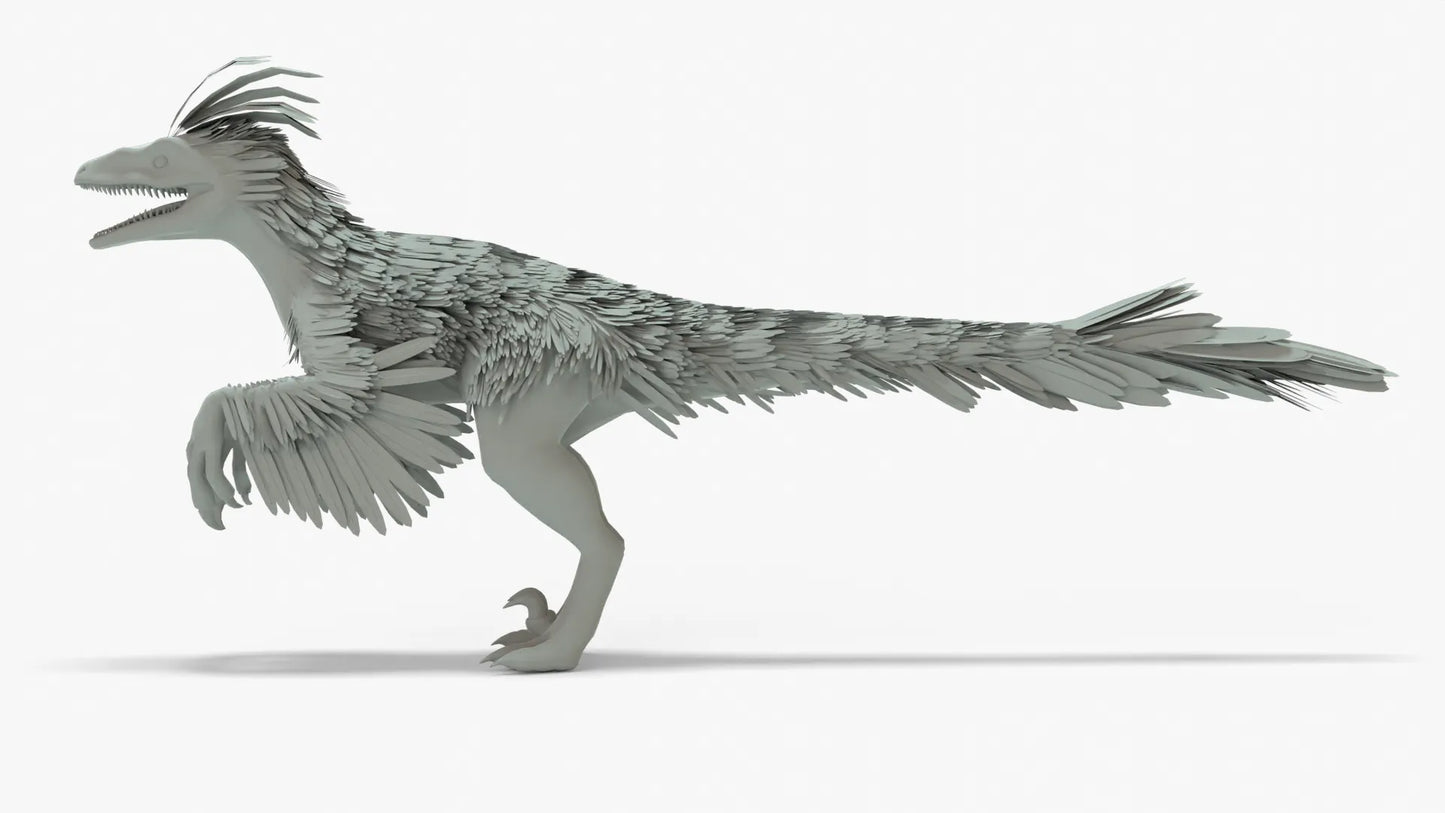 Pyroraptor 3D Model Rigged Basemesh