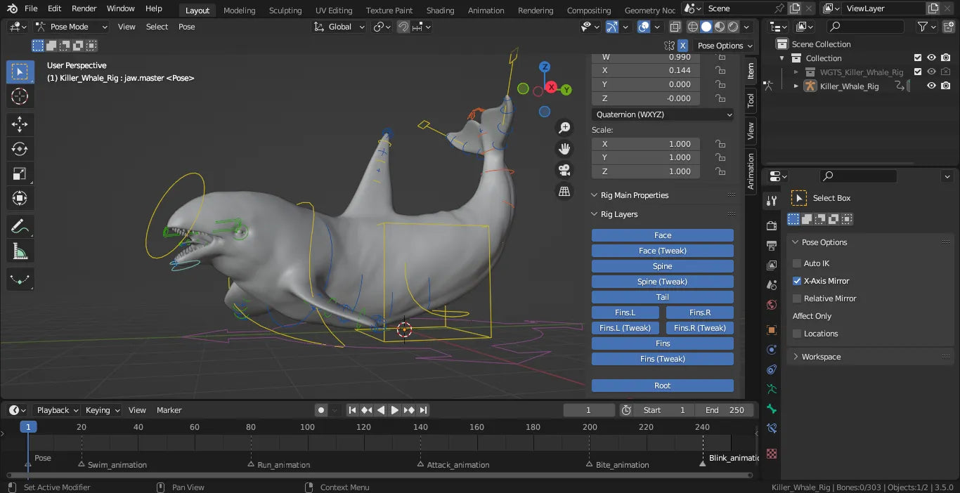 Realistic Killer Whale Rigged and Animated 3D Model