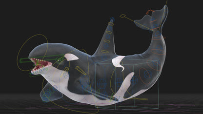 Realistic Killer Whale Rigged and Animated 3D Model