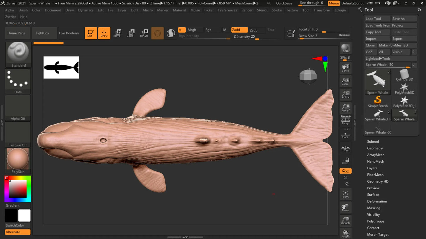 Realistic Sperm Whale Rigged 3D Model