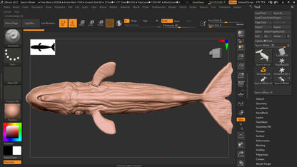 Realistic Sperm Whale Rigged 3D Model