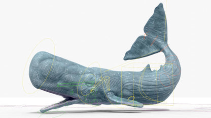 Realistic Sperm Whale Rigged 3D Model