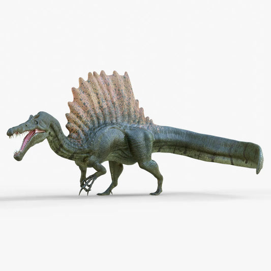 Realistic Spinosaurus 3D Model Rigged and Animated