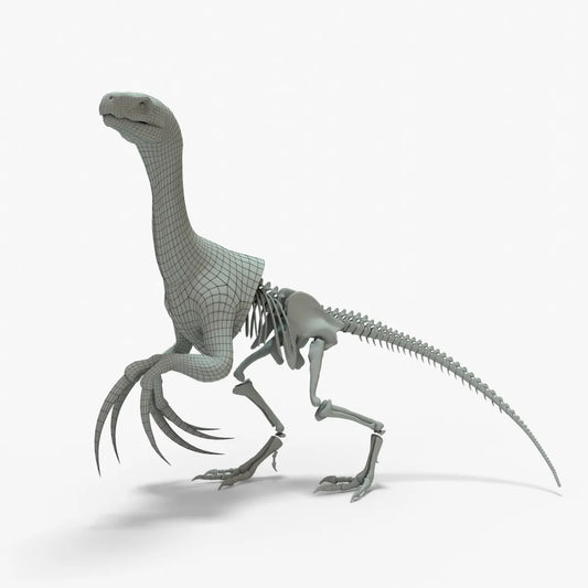 Therizinosaurus 3D Model Rigged Basemesh Skeleton