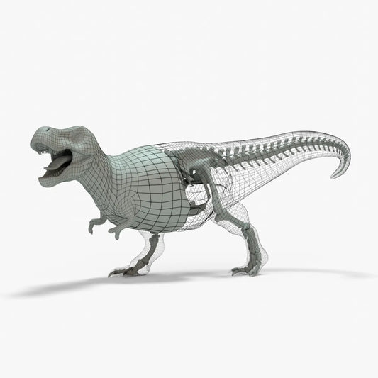 Tyrannosaurus Rex 3D Model Rigged Basemesh Skeleton