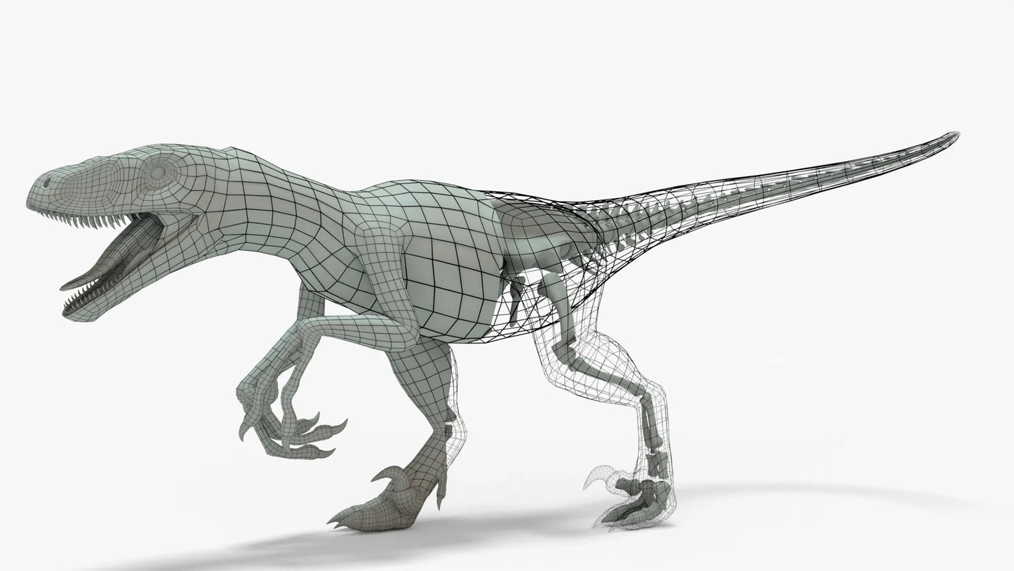 Velociraptor 3D Model Rigged Basemesh Skeleton