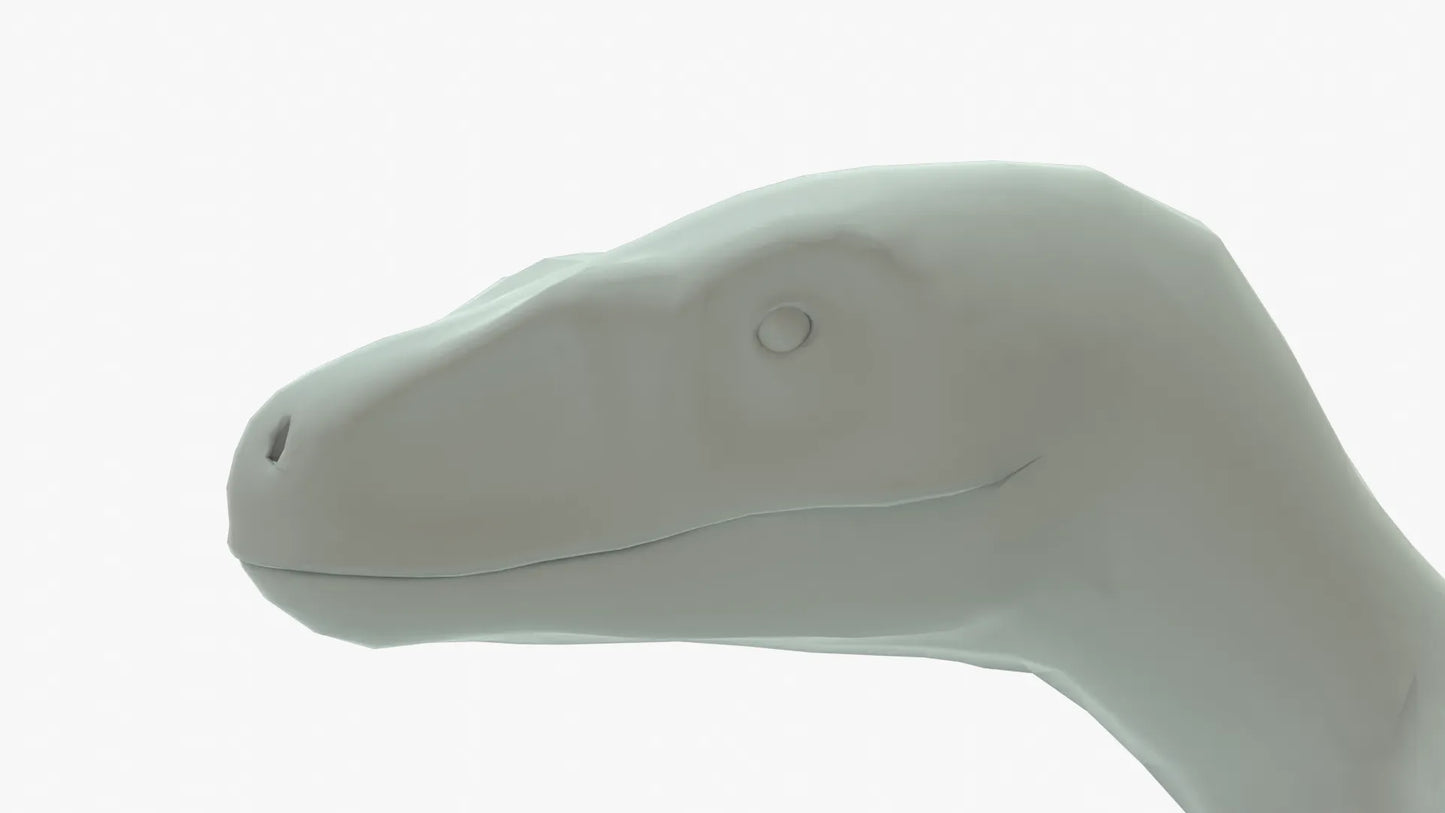 Velociraptor 3D Model Rigged Basemesh Skeleton