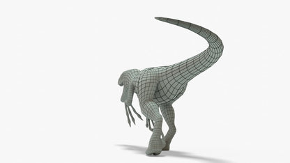 Velociraptor 3D Model Rigged Basemesh Skeleton