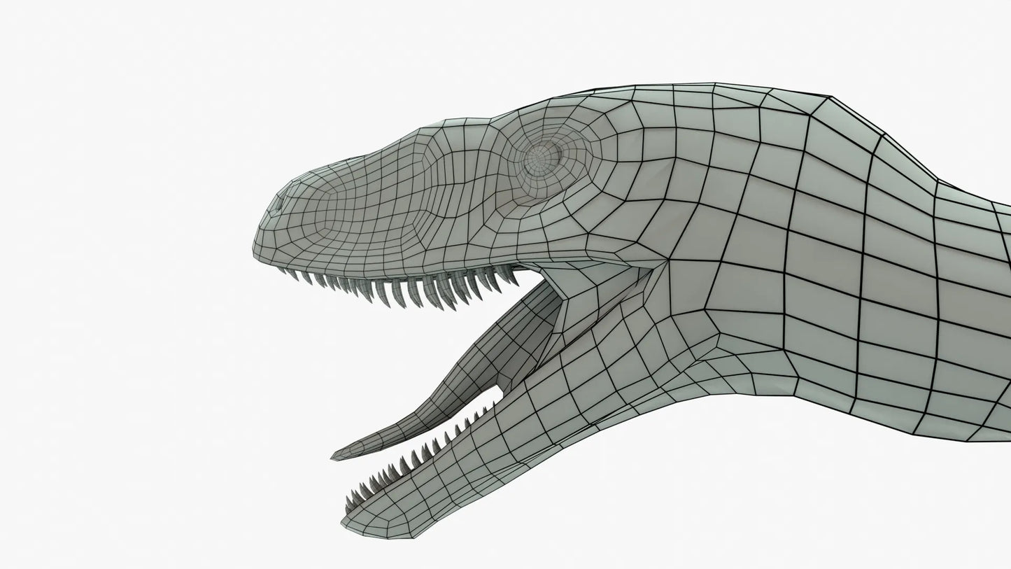 Velociraptor 3D Model Rigged Basemesh Skeleton