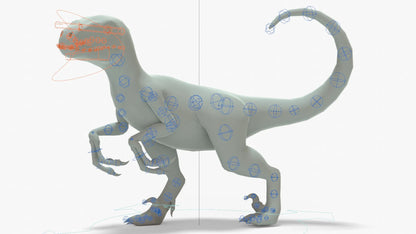 Velociraptor 3D Model Rigged Basemesh Skeleton