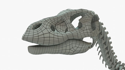 Velociraptor 3D Model Rigged Basemesh Skeleton