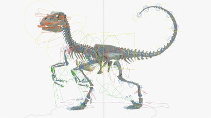 Velociraptor 3D Model Rigged Basemesh Skeleton