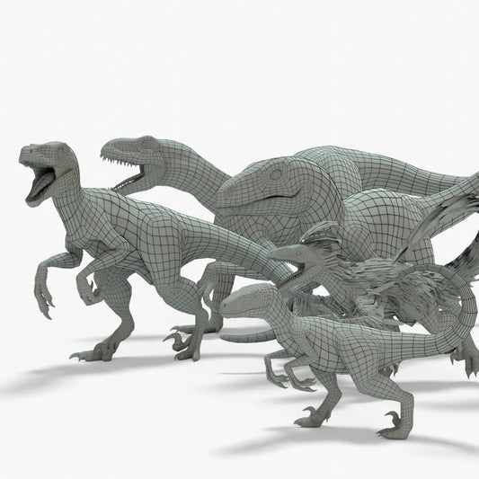 Collection of Raptor 3D Models Rigged Basemesh