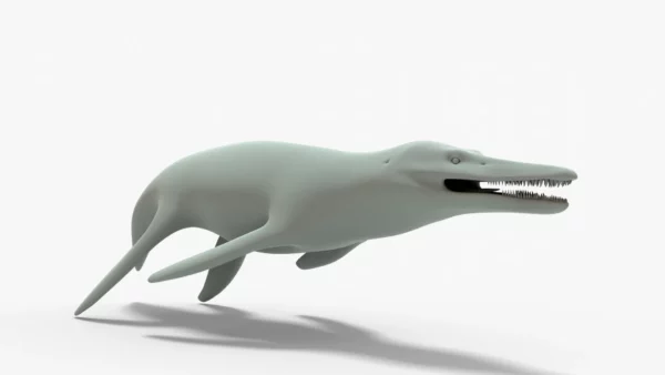 Kronosaurus Rigged Basemesh 3D Model 3D Model Creature Guard 17