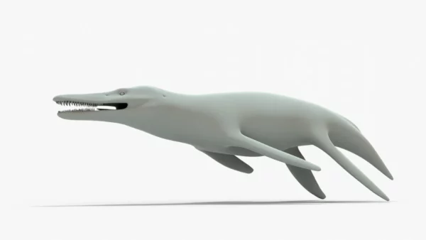 Kronosaurus 3D Model