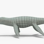 Kronosaurus Rigged Basemesh(6)