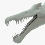 Spinosaurus Rigged Basemesh(12)