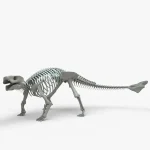 Ankylosaurus Rigged Skeleton(1)