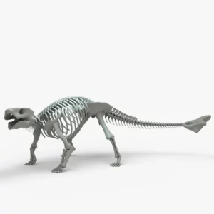 Ankylosaurus 3D Model Rigged Skeleton