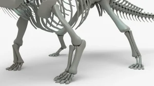 Ankylosaurus Skeleton 3D Model