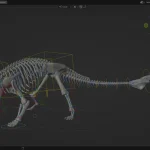 Ankylosaurus Rigged Skeleton(12)