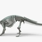 Ankylosaurus Rigged Skeleton(14)