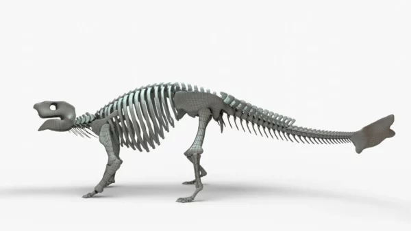 Ankylosaurus Skeleton 3D Model