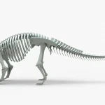 Ankylosaurus Rigged Skeleton(18)