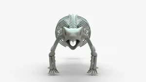 Ankylosaurus Skeleton 3D Model
