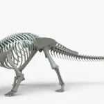 Ankylosaurus Rigged Skeleton(2)