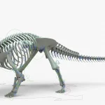 Ankylosaurus Rigged Skeleton(21)