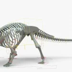 Ankylosaurus Rigged Skeleton(22)