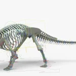 Ankylosaurus Rigged Skeleton(23)