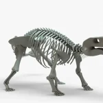 Ankylosaurus Rigged Skeleton(3)