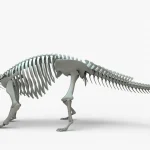 Ankylosaurus Rigged Skeleton(4)