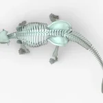 Ankylosaurus Rigged Skeleton(6)