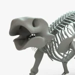 Ankylosaurus Rigged Skeleton(8)