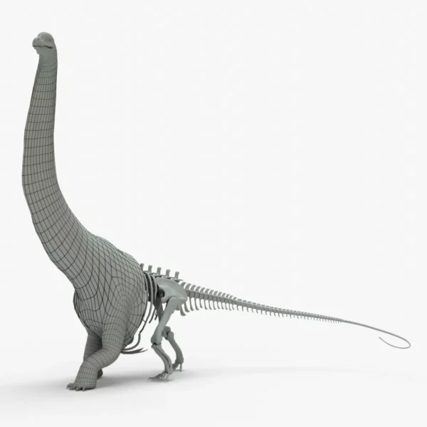Argentinosaurus 3D Model Rigged Basemesh Skeleton