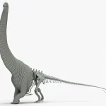 Argentinosaurus Rigged Basemesh Skeleton(2)