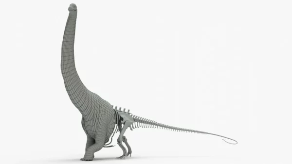 Argentinosaurus 3D Model Rigged Basemesh Skeleton 3D Model Creature Guard 2
