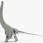 Argentinosaurus Rigged Basemesh Skeleton(3)