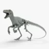 Atrociraptor 3D Model Rigged Basemesh Skeleton